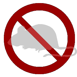 Mice And Rats Extermination - Exterminator 365
